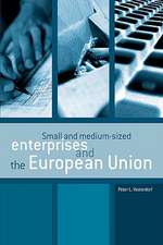 Small and Medium-Sized Enterprises and the European Union: Short Tales Commented on in Images and Words