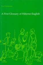 A First Glossary of Hiberno-English