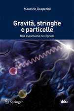 Gravità, stringhe e particelle