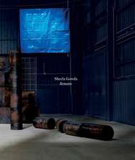 Sheela Gowda: Remains