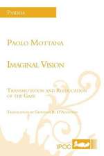 Imaginal Vision