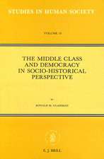 The Middle Class and Democracy in Socio-Historical Perspective