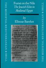 Fustat on the Nile: The Jewish Elite in Medieval Egypt