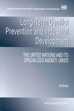 Long-term Conflict Prevention and Industrial Development