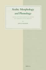 Arabic Morphology and Phonology: <i>Based on the Marāḥ al-arwāḥ</i> by Aḥmad b. ‘Aī b. Mas‘ūd