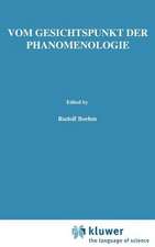 Vom Gesichtspunkt der Phänomenologie: Husserl-Studien