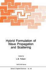 Hybrid Formulation of Wave Propagation and Scattering