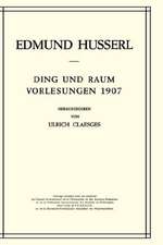 Ding und Raum: Vorlesungen 1907