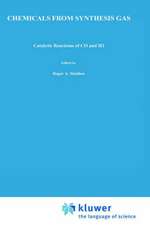 Chemicals from Synthesis Gas: Catalytic Reactions of CO and H2