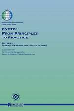 Kyoto: From Principles to Practice