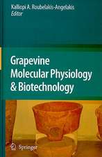 Grapevine Molecular Physiology & Biotechnology