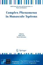 Complex Phenomena in Nanoscale Systems