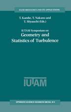 IUTAM Symposium on Geometry and Statistics of Turbulence: Proceedings of the IUTAM Symposium held at the Shonan International Village Center, Hayama (Kanagawa-ken), Japan, November 1–5, 1999