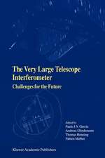 The Very Large Telescope Interferometer Challenges for the Future