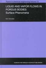 Liquid and Vapour Flows in Porous Bodies: Surface Phenomena