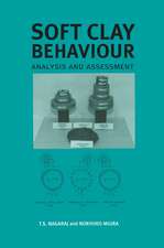 Soft Clay Behaviour Analysis and Assessment