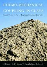 Chemo-Mechanical Coupling in Clays: From Nano-scale to Engineering Applications: Proceedings of the Workshop, Maratea, 38-30 June 2001