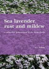 Sea lavender, rust and mildew: A perennial pathosystem in the Netherlands