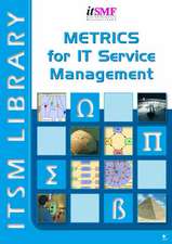 Metrics for IT Service Management