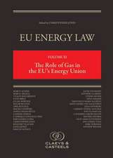 EU Energy Law Volume XI: The Role of Gas in the EU′s Energy Union