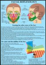 Facial Reflexology -- A4