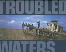 Dieter Telemans: Troubled Waters