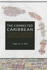 The Connected Caribbean: A Socio-Material Network Approach to Patterns of Homogeneity and Diversity in the Pre-Colonial Period