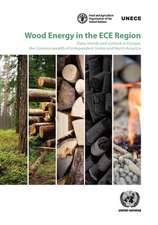 Wood Energy in the Ece Region