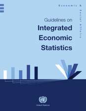 Guidelines on Integrated Economic Statistics