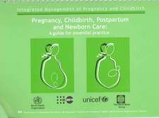 Pregnancy, Childbirth, Postpartum and Newborn Care: A Guide for Essential Practice