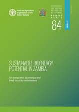 Sustainable Bioenergy Potential in Zambia