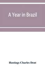 A year in Brazil