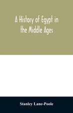 A history of Egypt in the Middle Ages