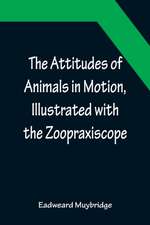 The Attitudes of Animals in Motion, Illustrated with the Zoopraxiscope