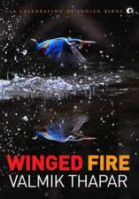 Winged Fire