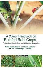 A Colour Handbook on Field Problems of Rabi Crops