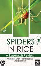 Spiders in Rice: A Research Review