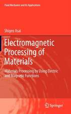 Electromagnetic Processing of Materials