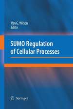 SUMO Regulation of Cellular Processes