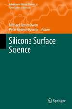 Silicone Surface Science