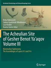 The Acheulian Site of Gesher Benot Ya‘aqov Volume III: Mammalian Taphonomy. The Assemblages of Layers V-5 and V-6