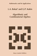 Algorithmic and Combinatorial Algebra