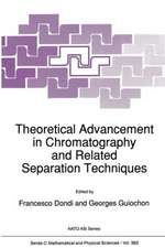 Theoretical Advancement in Chromatography and Related Separation Techniques