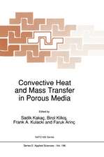 Convective Heat and Mass Transfer in Porous Media