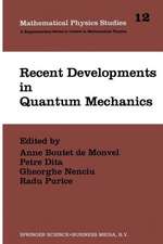 Recent Developments in Quantum Mechanics: Proceedings of the Brasov Conference, Poiana Brasov 1989, Romania