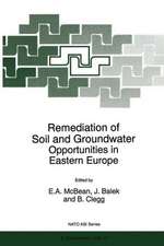 Remediation of Soil and Groundwater: Opportunities in Eastern Europe