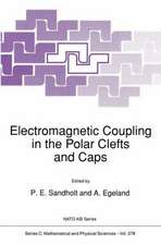 Electromagnetic Coupling in the Polar Clefts and Caps