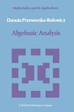 Algebraic Analysis