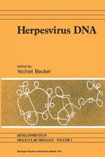 Herpesvirus DNA: Recent studies on the organization of viral genomes, mRNA transcription, DNA replication, defective DNA, and viral DNA sequences in transformed cells and bacterial plasmids