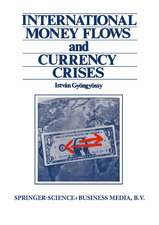 International Money Flows and Currency Crises